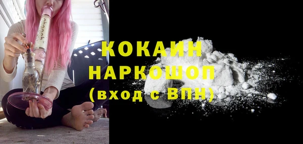 соль ск Алзамай