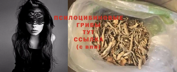 соль ск Алзамай