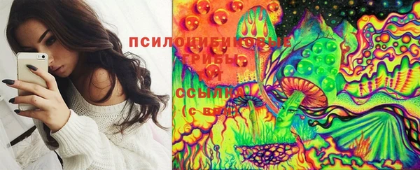 стафф Алексеевка