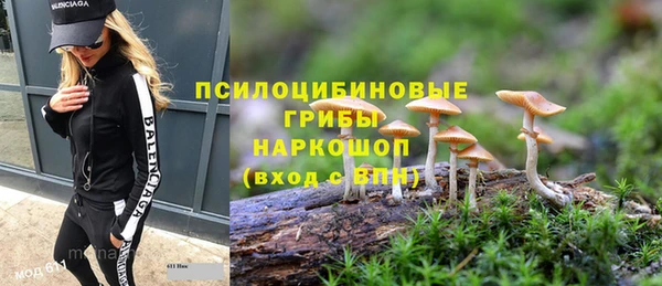соль ск Алзамай