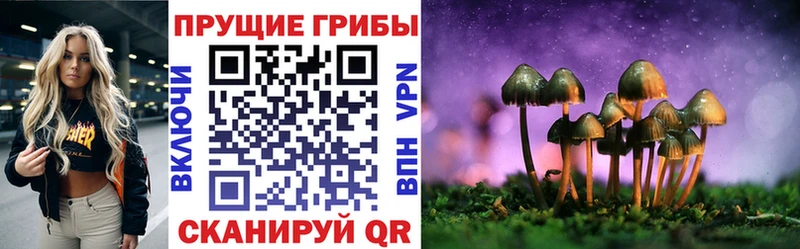 Псилоцибиновые грибы прущие грибы  blacksprut зеркало  Жиздра  наркотики 
