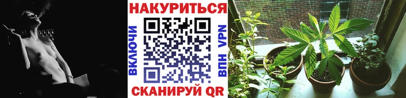 Конопля AK-47 Жиздра